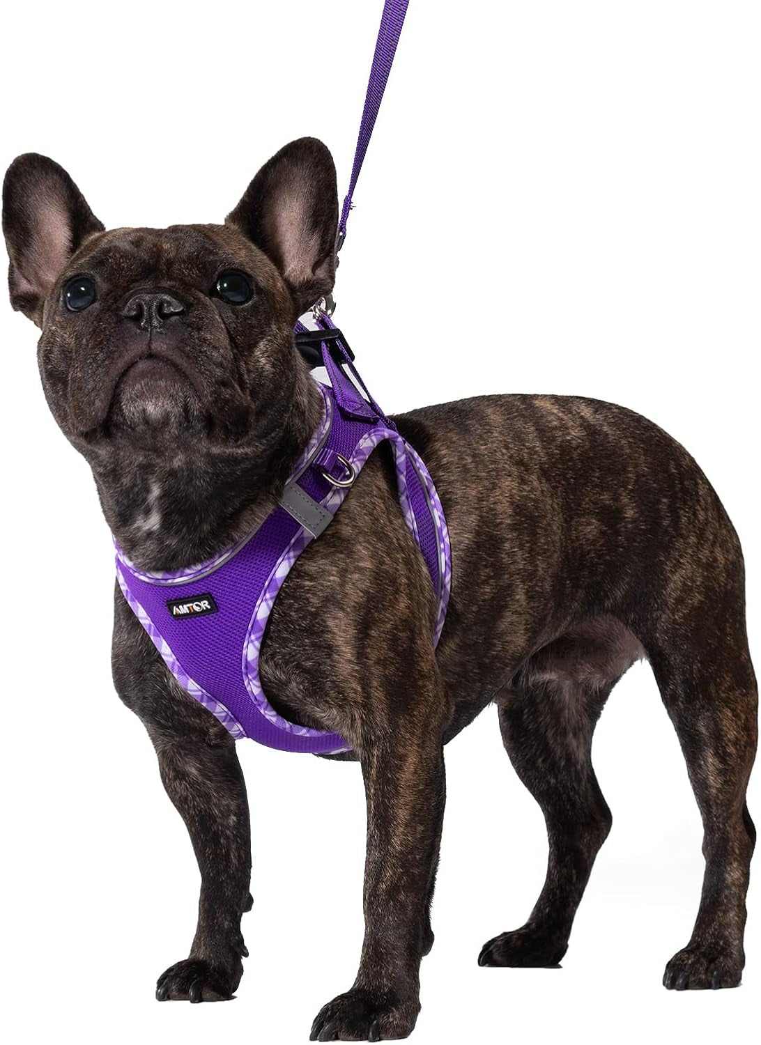 amtor-small-dog-harness-with-leash-set-no-escape-easy-walk-puppy-harnesses-for-training-walking-step-in-reflective-soft-dogs-vest-for-xs-s-medium-extra-small-large-sized-doggreen-s