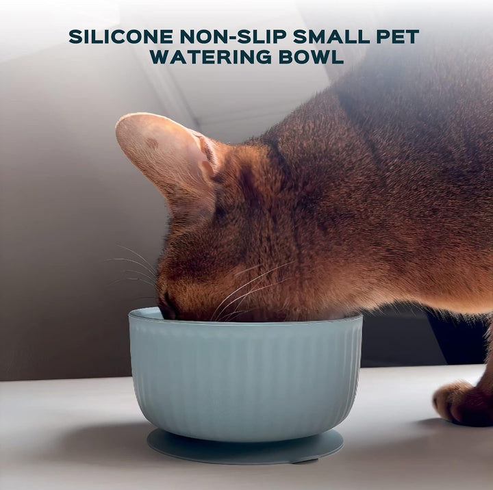 Cat Bowls with Suction Cup 13 Oz — Elevated Silicone Pet Dish with Non-Slip Bottom for Dry Food, Wet Food and Water (Terracotta)+2