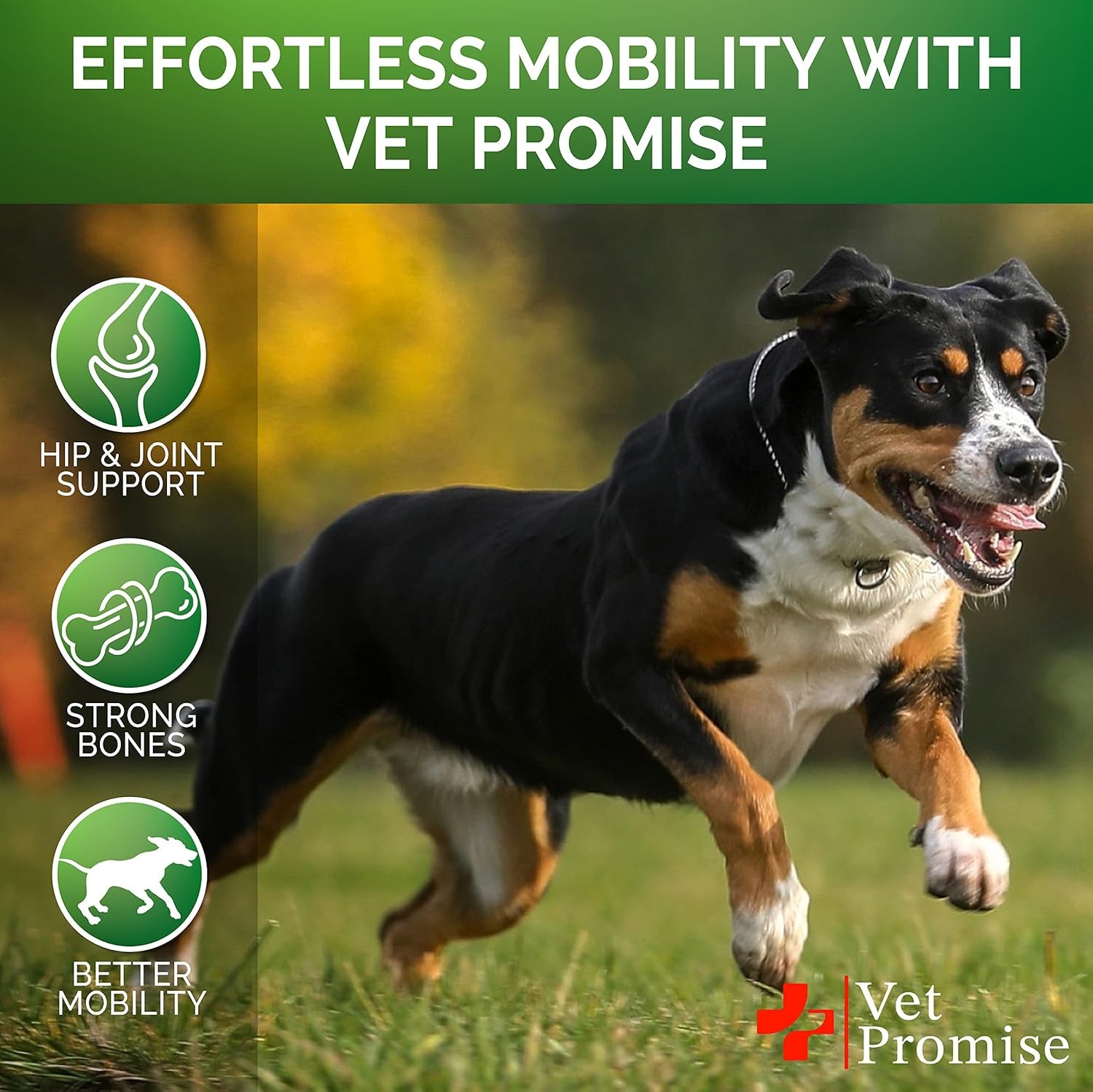 vet-promise-glucosamine-for-dogs-hip-and-joint-supplement-for-dogs-glucosamine-chondroitin-joint-pain-relief-pills-msm-advanced-health-support-supplement-120-mobility-chews-made-in-usa