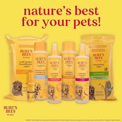 Burts Bees for Pets Waterless Shampoo Spray, with Apple & Honey, 10 Fl Oz | No-Rinse Waterless Formula, Ph Balanced, Ideal for Quick Touch-Ups between Full Baths, No Sulfates Parabens or Phthalates11