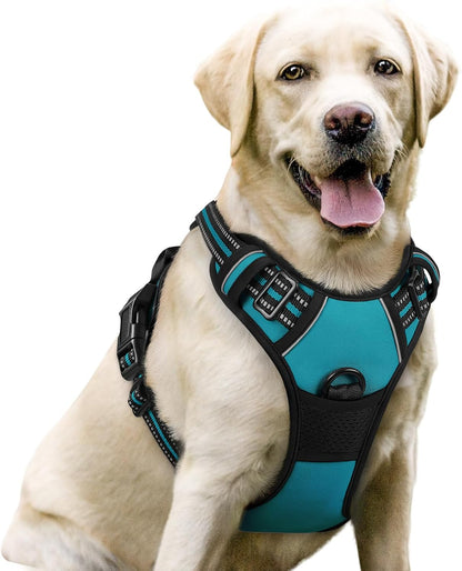 Rabbitgoo Dog Harness, No Pull for Large Dogs with 2 Leash Clips, Pet Vest | No Choke with Handle, Adjustable Soft Padded, Reflective, Easy Control for Walking, Black, Large85