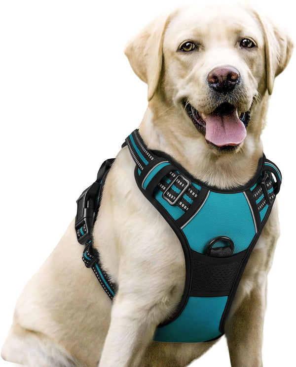 Rabbitgoo Dog Harness, No Pull for Large Dogs with 2 Leash Clips, Pet Vest | No Choke with Handle, Adjustable Soft Padded, Reflective, Easy Control for Walking, Black, Large85