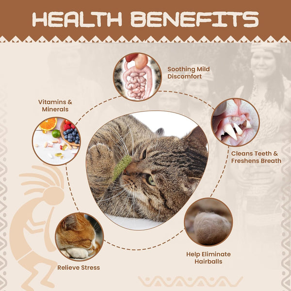 HUPA Cat Chew Sticks | Anxiety Relief & Digestive Support, Kitten Teething Chews, Cat Dental Chews | Natural Catnip Teething for Indoor Cats, Energetic Chew for All Ages & Breeds | 6 Sticks4