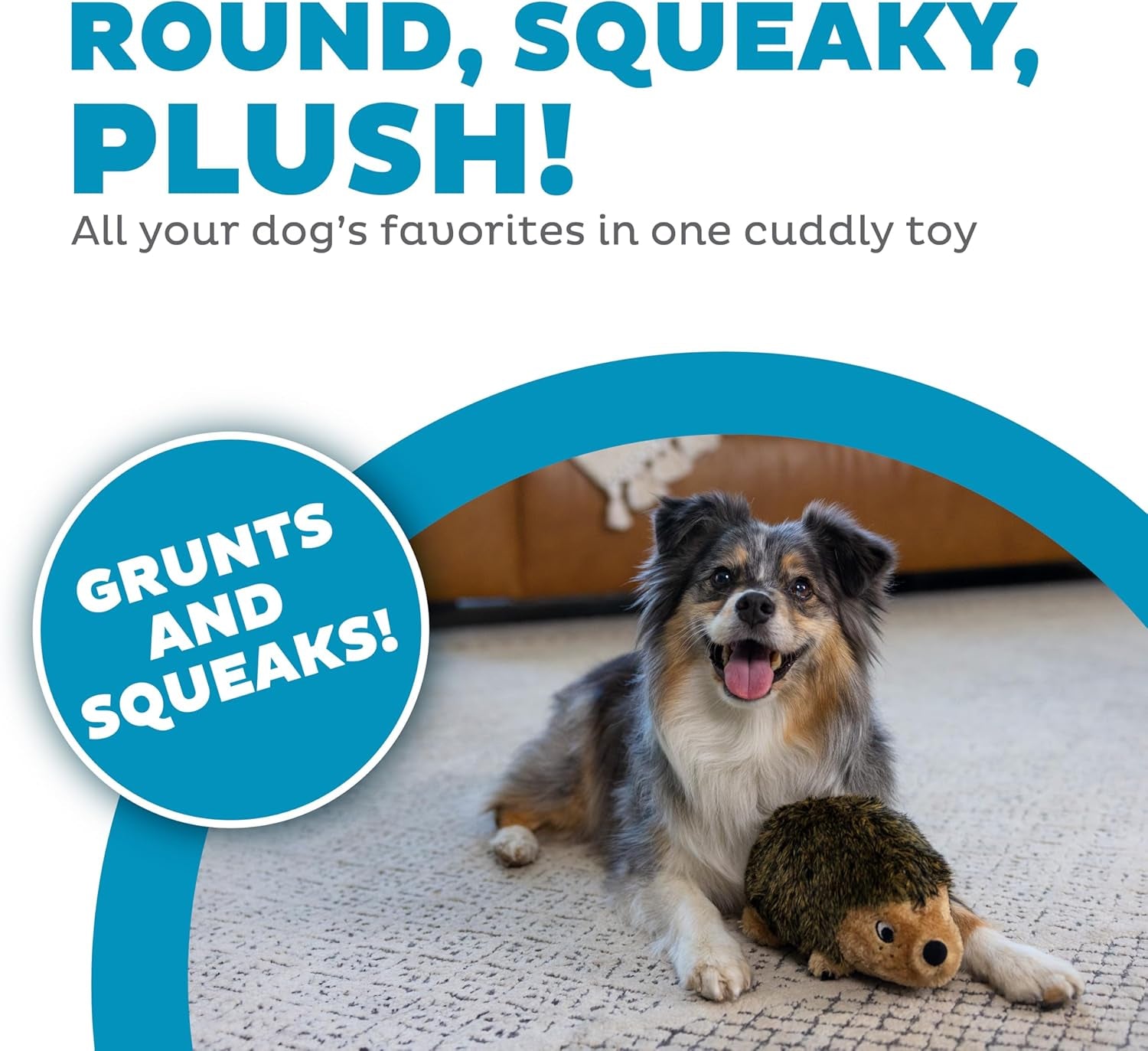outward-hound-hedgehogz-stuffed-dog-toy-soft-plush-hedgehog-grunts-squeaks-medium-9-x-5-x-6-5