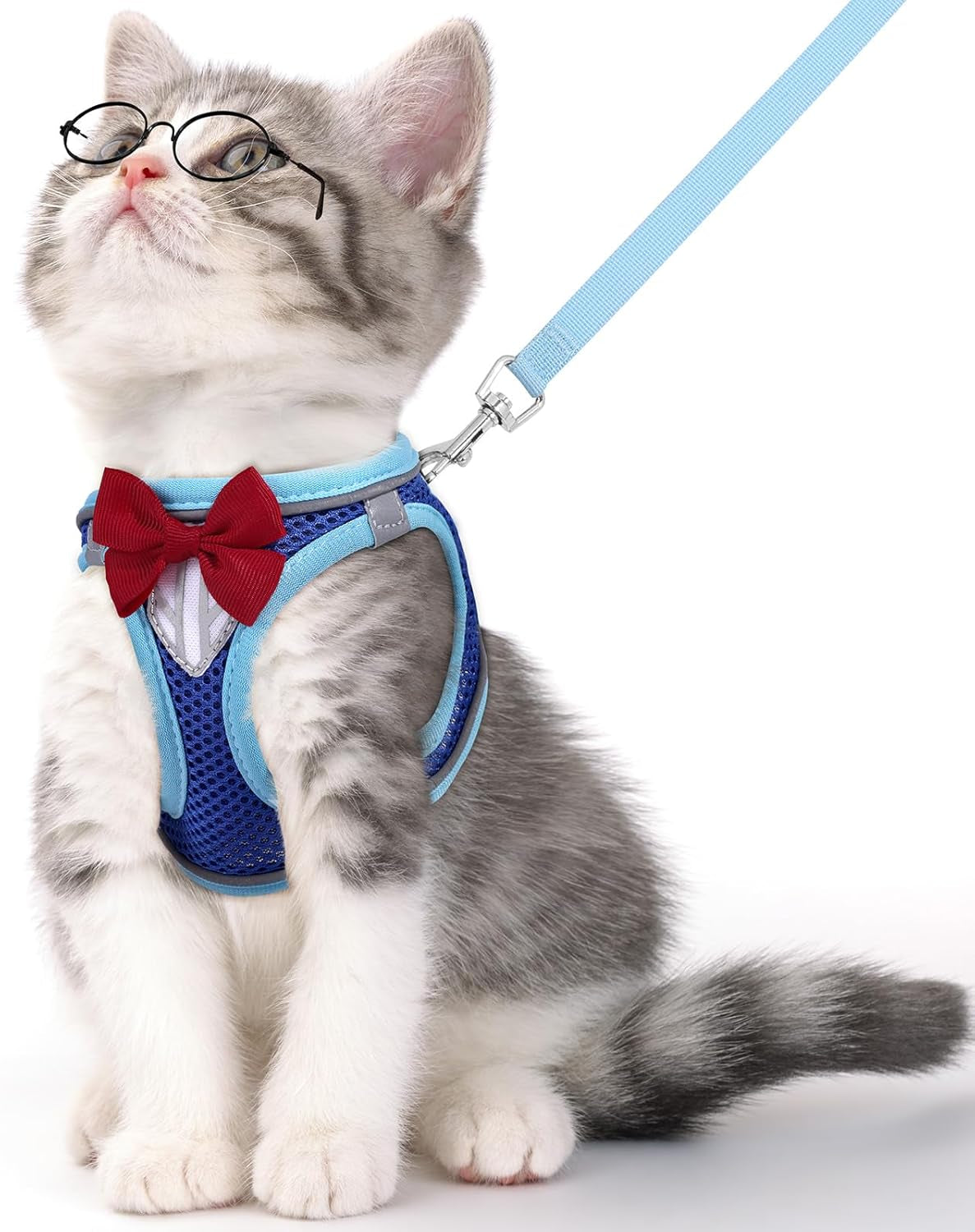 cat-vest-harness-and-leash-set-escape-proof-kitten-harness-pink-xs-safe-reflective-strips-adjustable-easy-wear-kitty-harness-sturdy-clip-buckle-breathable-mesh-for-kitty-puppy-bunny-walks