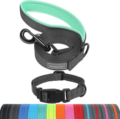 VIVAGLORY Dog Leash Puppy Leash for Collar, 3Ft X 1In, Black | with Soft Padded Handle for Training & Walking, Heavy Duty & Double Layer Nylon Pet Puppy11