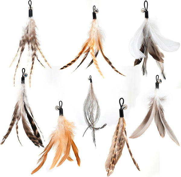 Miwoowim 2PCS Retractable Cat Teaser Wands & 9PCS Feather Refills Toy Set | Dual-Size Telescopic Rods (50" & 38"), Da Bird Feather Attachments with Bells Replacement,Interactive Fishing Pole Toys9