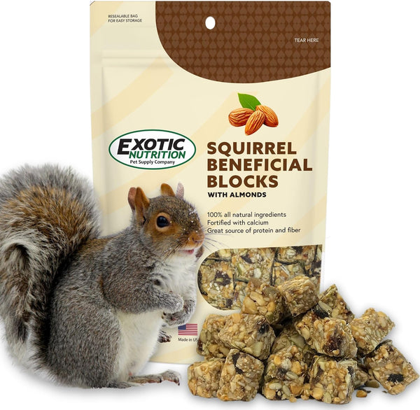 Exotic Nutrition Squirrel Beneficial Blocks - Healthy & Unique Supplemental Food with Nuts & Seeds, 10 Oz1