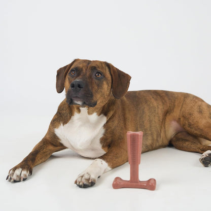 SPOT Bam-Bones plus T Bone – Bamboo Fiber & Nylon Dog Chew Toy for Moderate to Aggressive Chewers, Durable Long Lasting & Non-Splintering, Beef Flavor Toy for Adult Dogs & Puppies under 60 Lbs, 6 In13