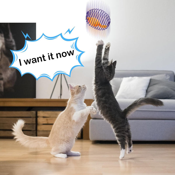 Jecery 5 Pcs Cat Toys Spring,Mouse,Multicolor | Interactive Cat Toy, Stretchable Rolling Ball, for Indoor Cats, Colorful Playful Coils, Kitten Pet Supplies6