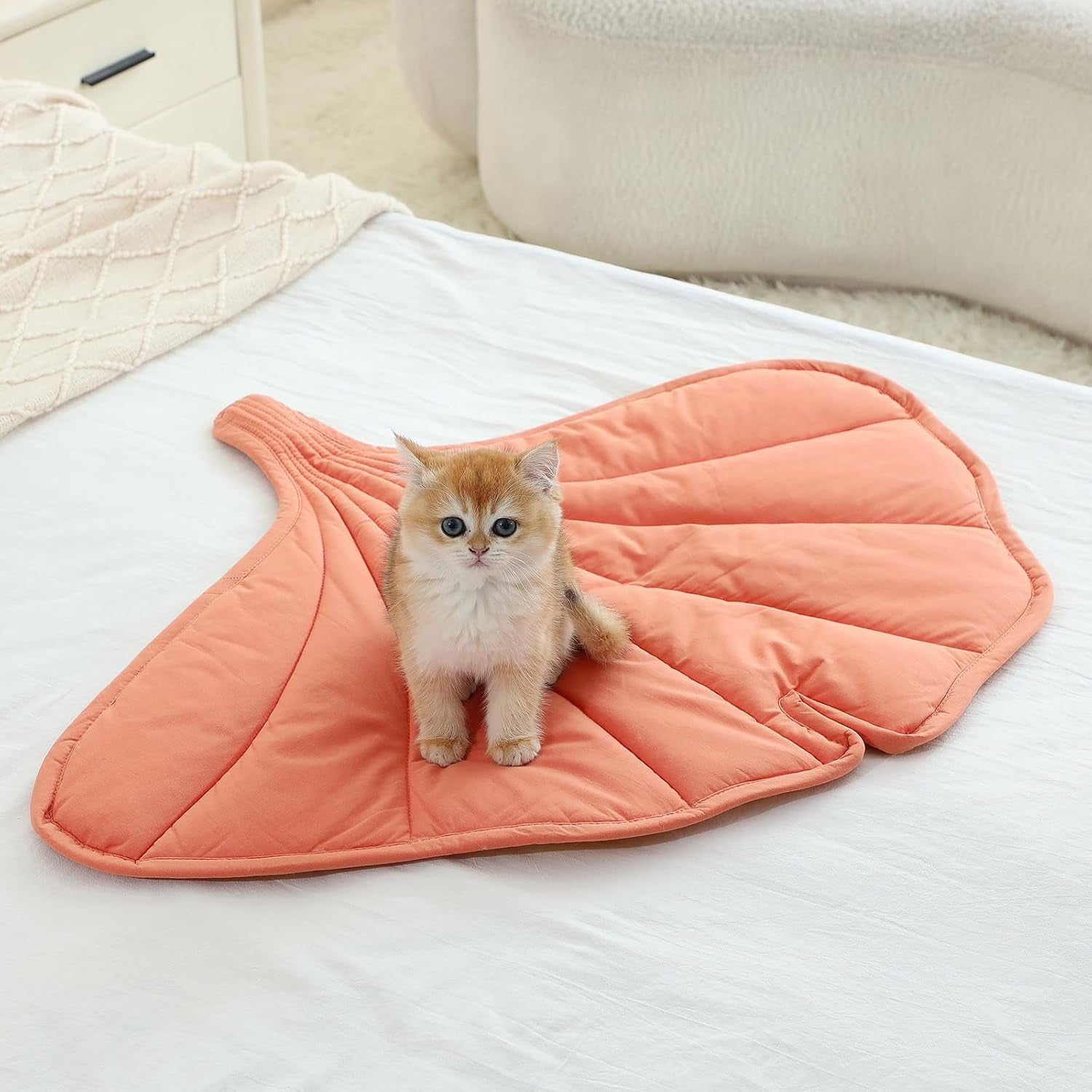 letalong-31-x-25-inch-leaf-shaped-cotton-cat-bed-pad-warming-cat-mat-pet-warming-pad-for-cats-warmer-mat-for-feral-and-indoor-cats-2025-enlarged-and-thickened-leaf-beds