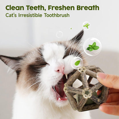 Potaroma Catnip Toys, 3Pcs Cat Toys Natural Silvervine Stick Cage Balls & Bell Ball for Indoor Cats, Kitten Cleaning Teeth Molar Matatabi Cat Chew Toy All Breeds | Kitten Cleaning Teeth Molar Matatabi Cat Chew Toy for Indoor Cats All Breeds with Bell4