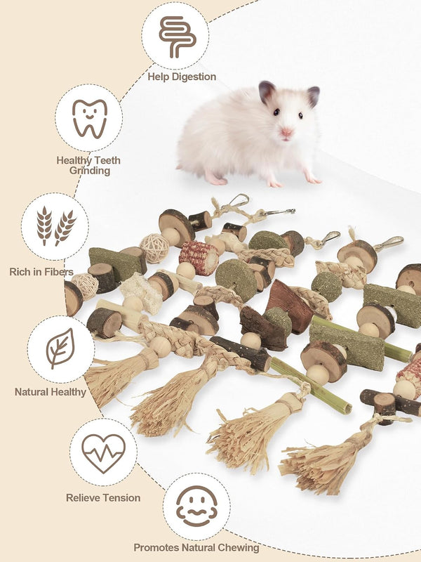 6PCS Hanging Bunny Chew Toys, Natural Apple Wood Rabbit Chews | Teeth Grinding & Dental Health, Small Animal Wooden Cage Toy for Guinea Pigs, Hamsters, Chinchillas, Ferrets, Rats, Gerbils3