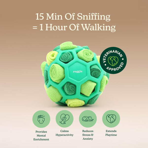 Reggie Forager Ball for Dogs | Interactive Treat Dispensing Dog Enrichment Toys | Reduces Boredom, Stress & Hyperactivity | Snuffle Toys for Dogs | Durable & Washable Dog Puzzle Toy5