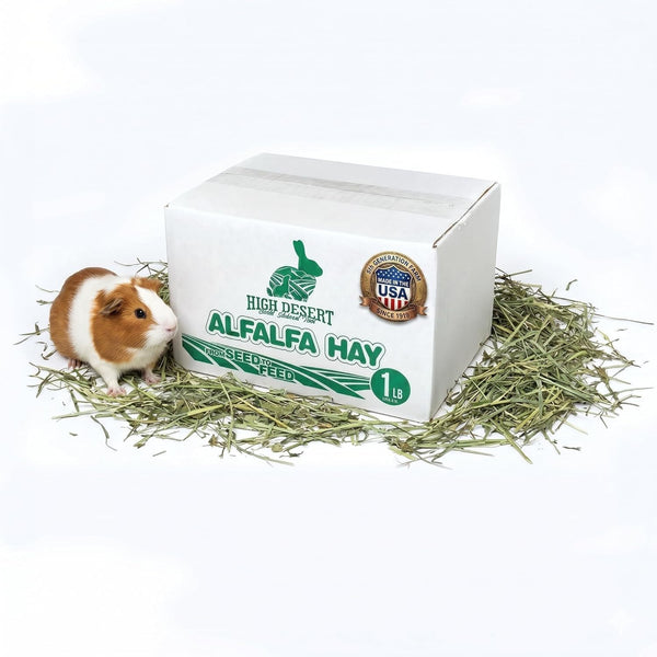 High Desert Alfalfa Hay, Protein Rich Soft Leaf Food for Young Growing Animals, Natural Rabbit Food and Guinea Pig Hay, Supports Digestive Health, Small Pet Supplies, Fresh Hand Packed 5 Lb Box | Protein Rich Soft Leaf Forage, Ideal for Growing Kits and Nursing Mothers, Great Calcium Source, Hand Packed, Low Dust10