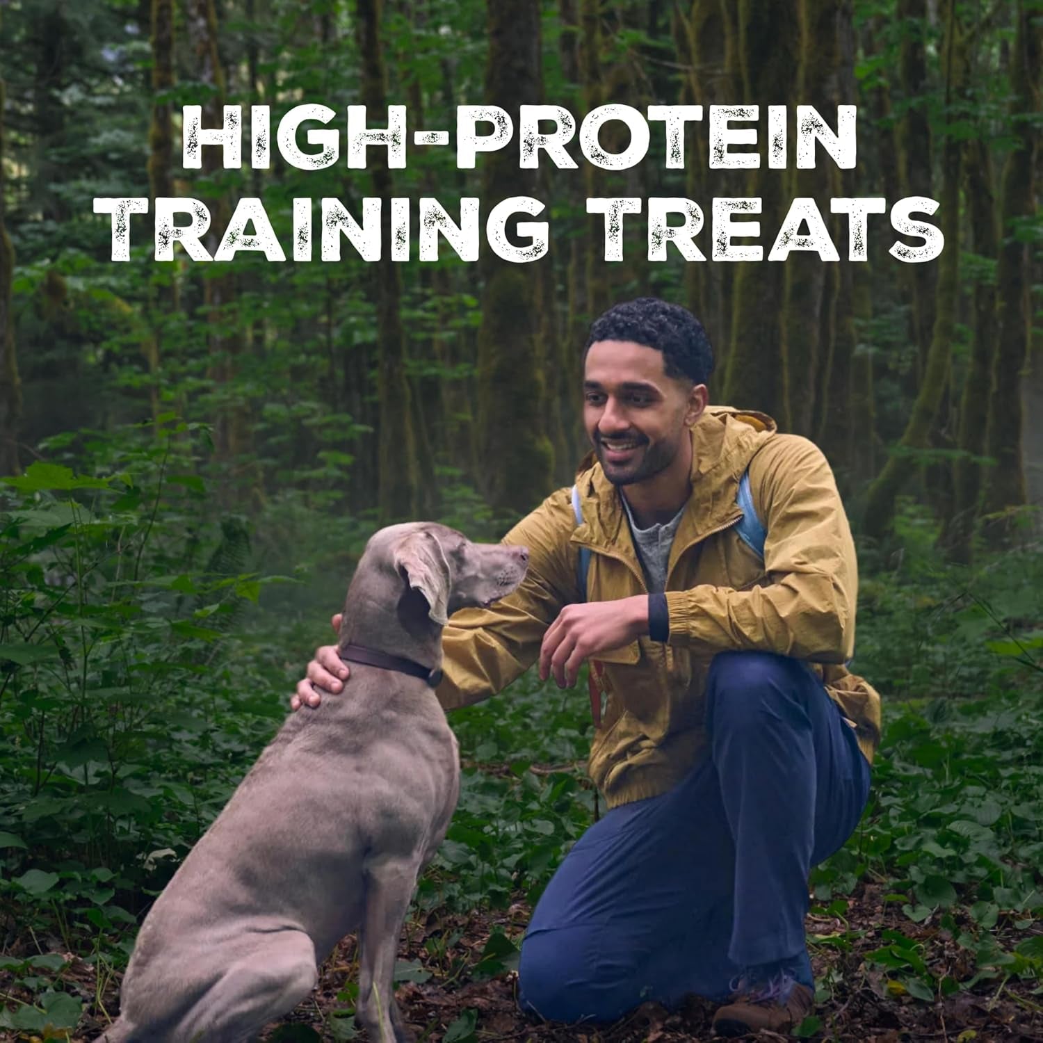 blue-buffalo-wilderness-trail-treats-salmon-crunchy-dog-biscuits-grain-free-high-protein-bite-sized-training-treats-made-with-real-salmon-natural-ingredients-10-oz-bag