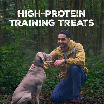 Blue Buffalo Wilderness Trail Treats Salmon Crunchy Dog Biscuits, Grain-Free & High-Protein, Bite-Sized Training Treats Made with Real Salmon & Natural Ingredients, 10-Oz Bag2