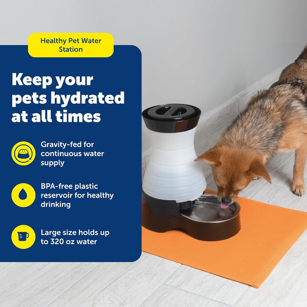 Petsafe Healthy Pet Water Station, 320 Oz, Stainless Steel Bowl, Large | Gravity-Fed Pet Water Fountain Keeps Cats or Small Dogs Hydrated, Stainless Steel Bowl Is Dishwasher Safe2