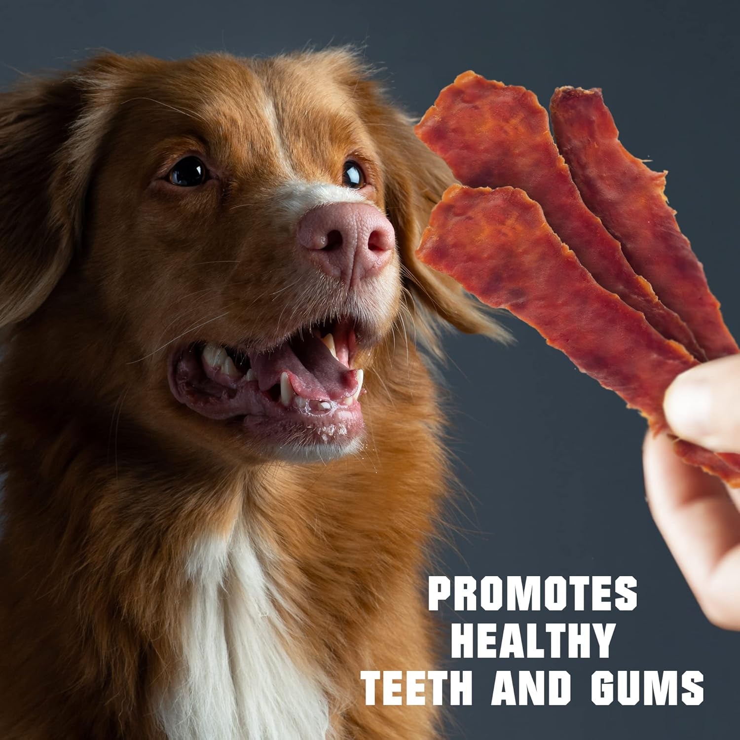 dog-treats-duck-jerky-1-5-lb-dog-food-high-protein-chews-for-large-medium-small-breeds-natural-healthy-training-strips-snacks-human-grade-real-meat-grain-free-rawhide-free-bulk-pack