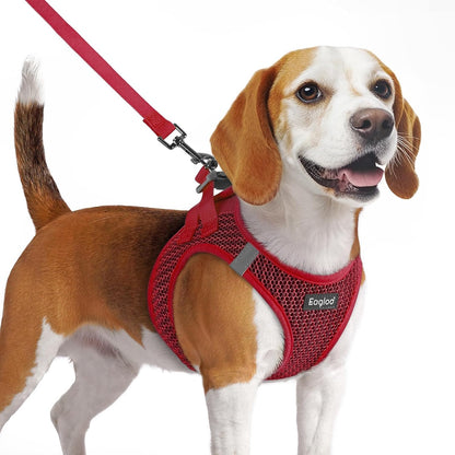 Eagloo Small Dog Harness and Leash Set, Step in Small Sized Puppy Pet Vest | Light, Soft, Breathable Air Mesh, Easy on and off with Hook & Loop, Reflective for Safe Walking, Pink, S54