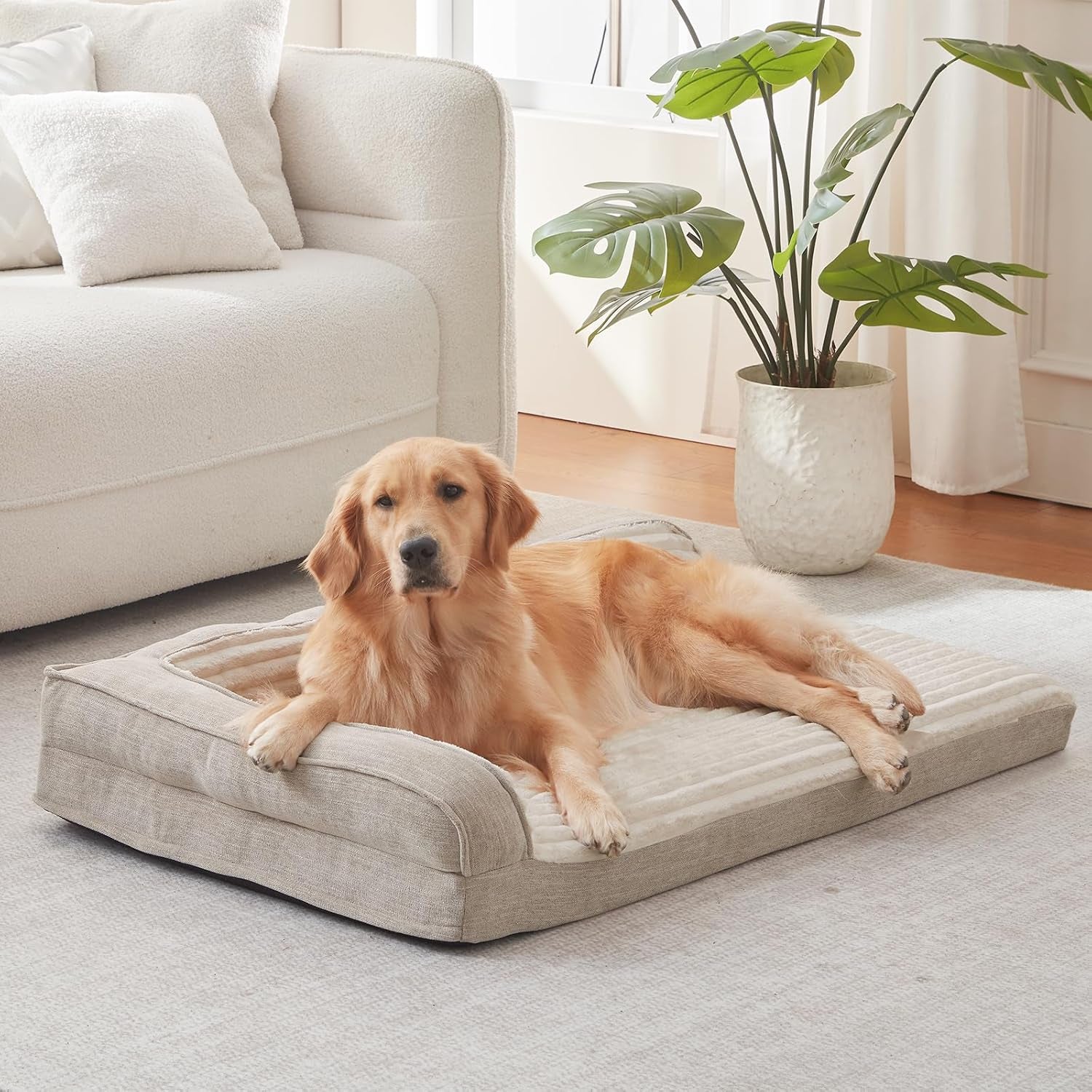 windracing-orthopedic-dog-beds-for-medium-dogs-waterproof-egg-foam-dog-sofa-bed-with-l-bolster-sides-washable-medium-pet-bed-with-removable-cover-non-slip-bottom-36-x-23-inch-gray