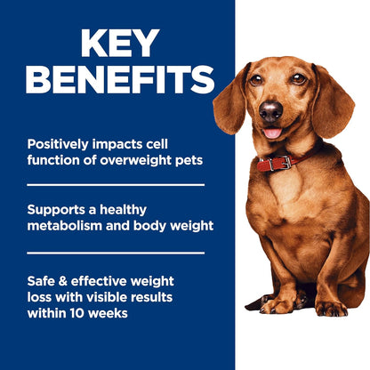 Hill'S Science Diet Adult Perfect Weight Small & Mini Dry Dog Food | #1 Veterinarian Recommended, Chicken Recipe, 4 Lb. Bag5
