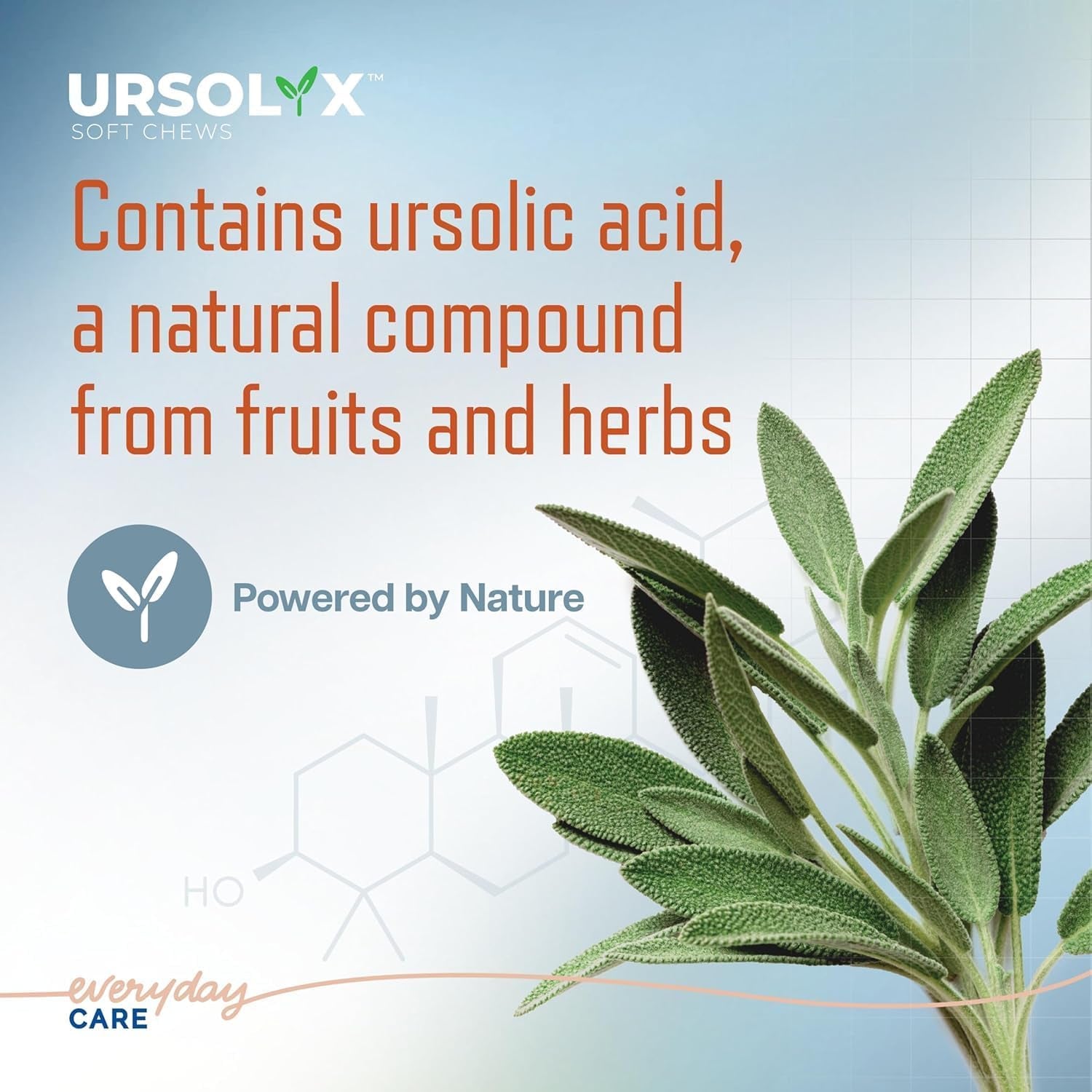 ursolyx-soft-chews-for-dogs-medium-breed-muscle-support-60-count-ursolic-acid-supplement-to-rebuild-muscle-strength-mobility-in-senior-active-or-recovering-dogs-2-month-supply