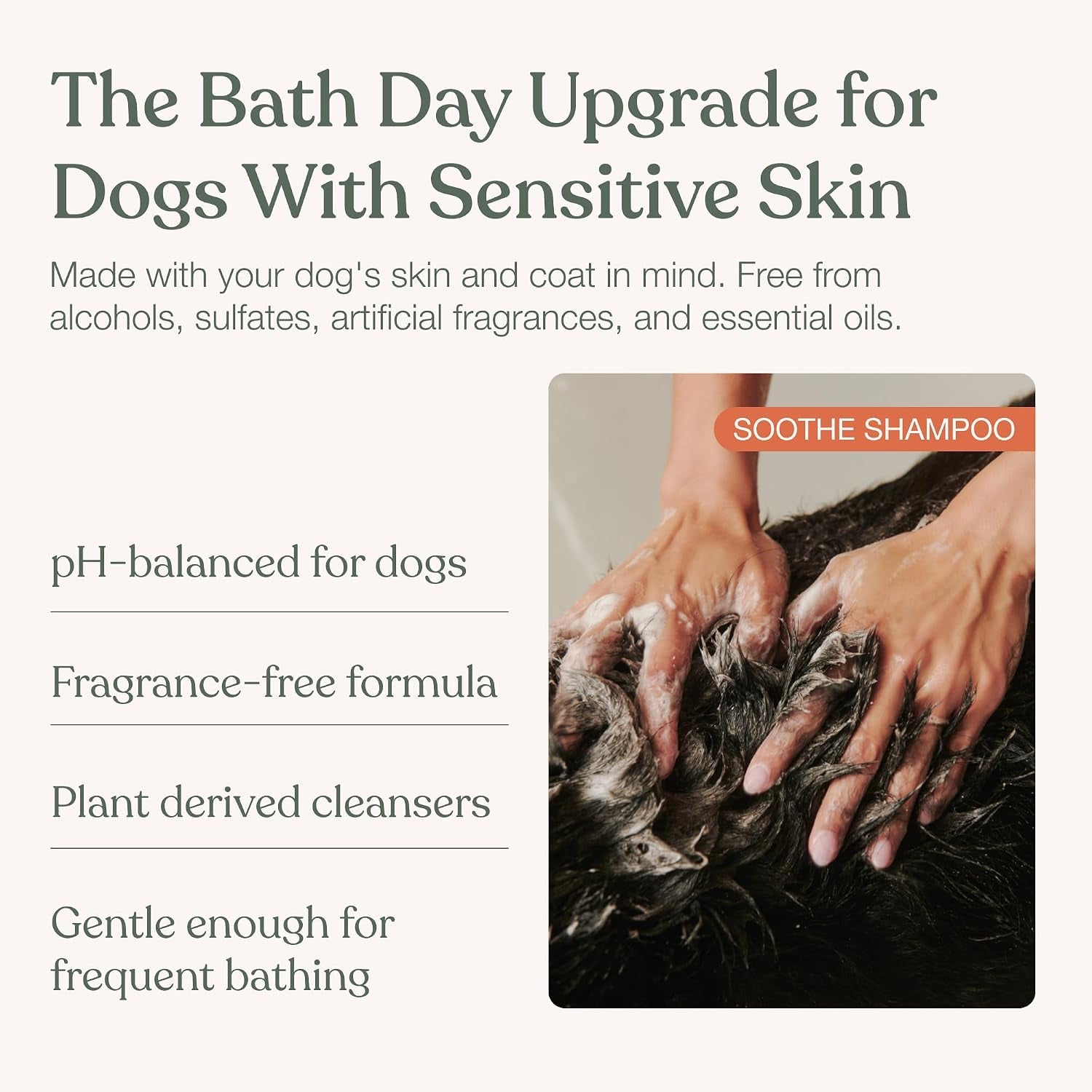 dog-shampoo-soothe-gentle-cleansing-hydrating-sensitive-skin-16-fl-oz-dandylion-pet-shampoo-fragrance-free-ph-balanced-plant-derived-formula-for-dry-coats-and-all-coat-types-dog-bath-supplies