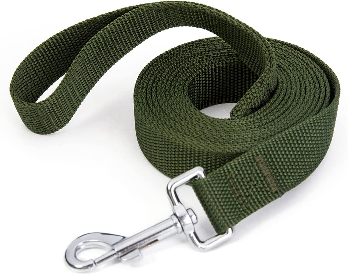 strong-durable-nylon-10ft-long-dog-training-leash-traction-rope-1-inch-wide-for-small-and-medium-dog-black-10-feet