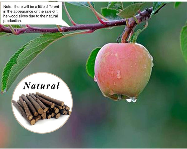 William Craft Apple Sticks Pet Chew Toy Treats for Chinchilla Guinea Pigs Rabbits Squirrel Hamster Bunny4