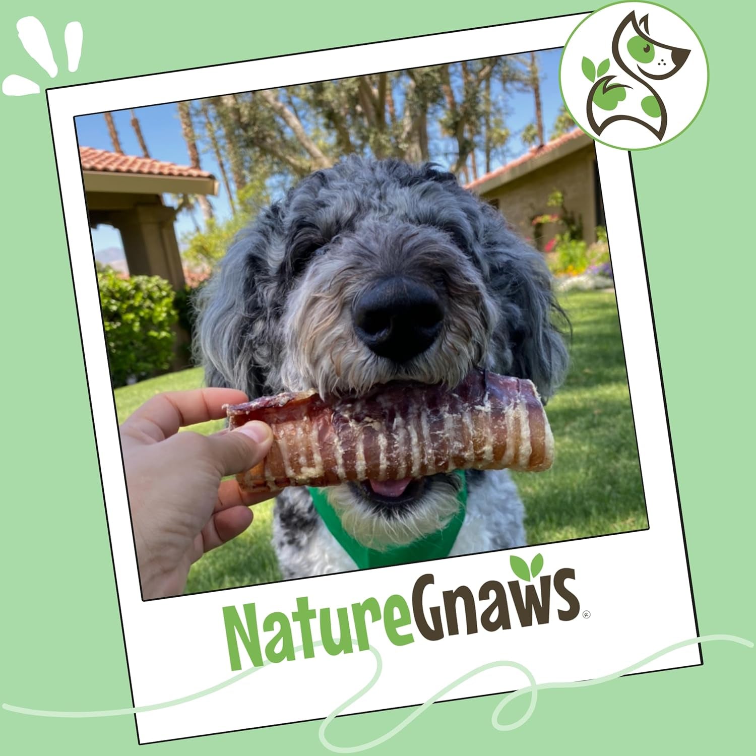 nature-gnaws-beef-trachea-crunch-wraps-for-dogs-3-count-long-lasting-natural-beef-jerky-dog-chew-bones-rawhide-free