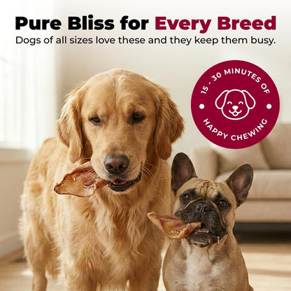 Best Pet Supplies Gigabite Whole Pig Ears for Dogs - 25 Count | Single Ingredient, All Natural Pig Ears, Supports Dental Health, Perfect for Training, Slow Roasted Chews4