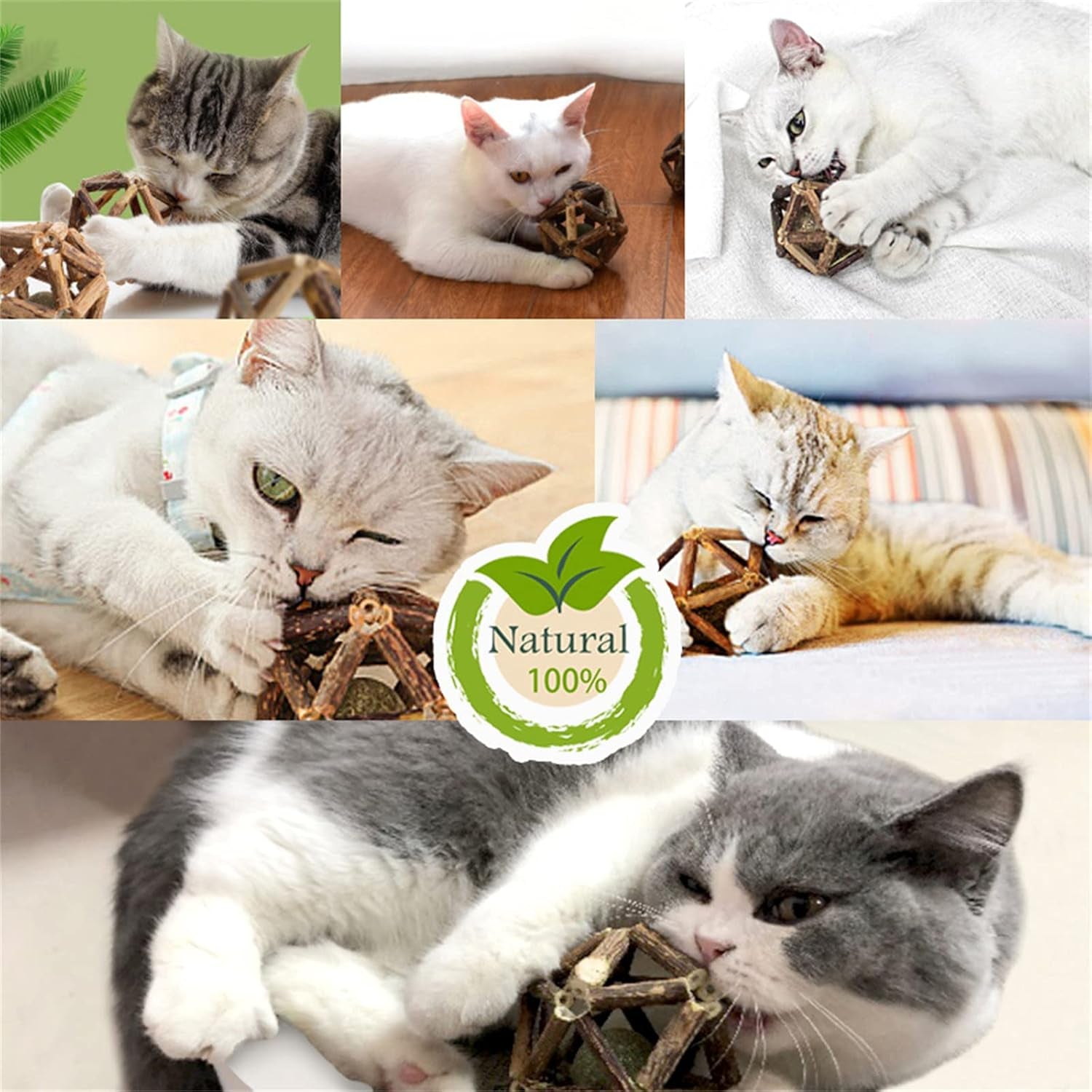 gochanmon-catnip-toys-2pcs-natural-silvervine-stick-catnip-ball-bell-ball-cat-toys-for-indoor-cats-cleaning-teeth-molar-tools-matatabi-cat-chew-toy-kitten-toys-all-breeds