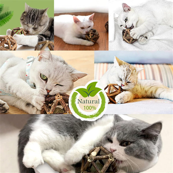 Gochanmon Catnip Toys-2Pcs Natural Silvervine Stick Catnip Ball&Bell Ball-Cat Toys for Indoor Cats- Cleaning Teeth Molar Tools Matatabi Cat Chew Toy-Kitten Toys All Breeds7