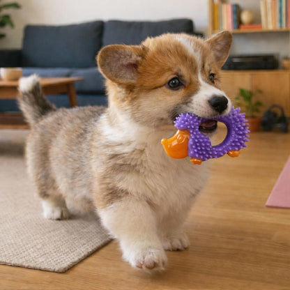 Cutie Chewies Hedgehog Dental Dog Chew Toy — Multi-Textured, Massages Gums, Floats & Bounces for Teething Puppies & Small Dogs, 5" X 3.5" X 1"5