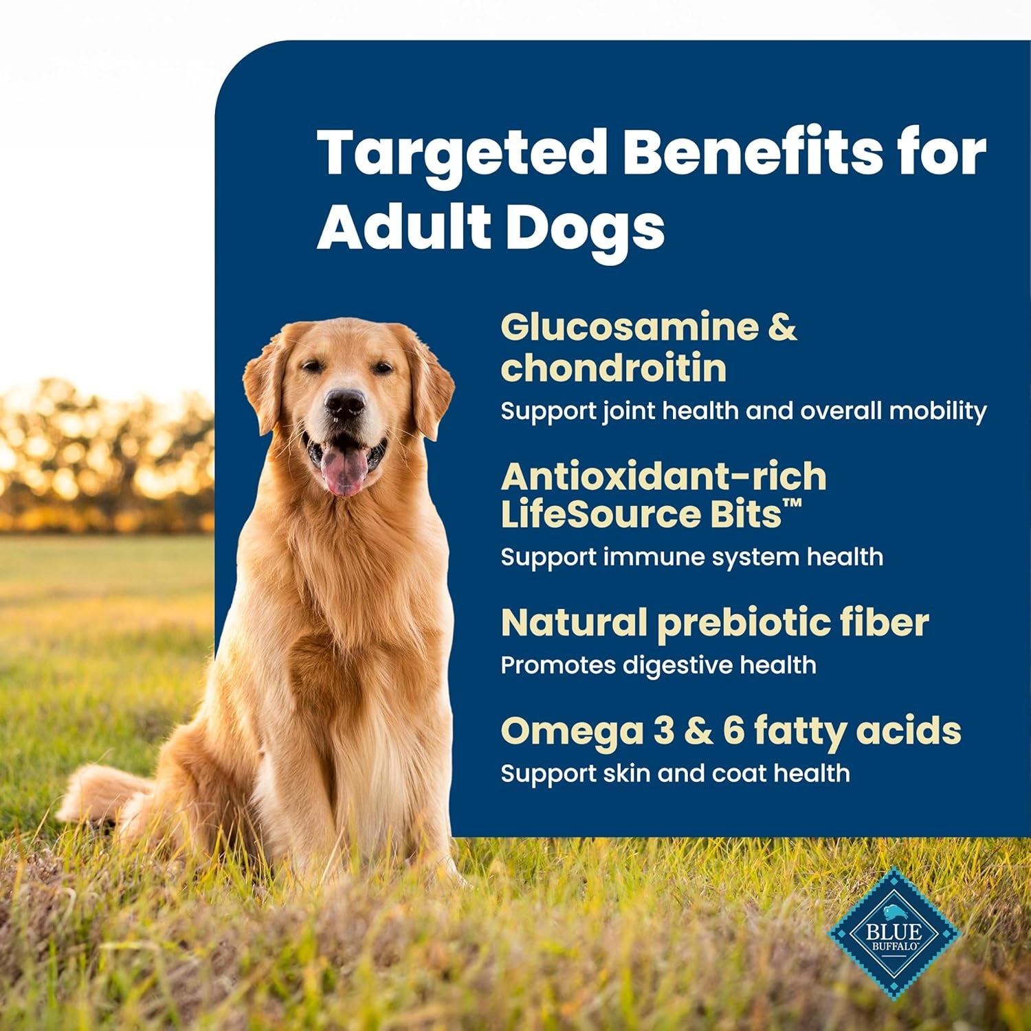 blue-buffalo-life-protection-formula-chicken-adult-dry-dog-food-5-lb