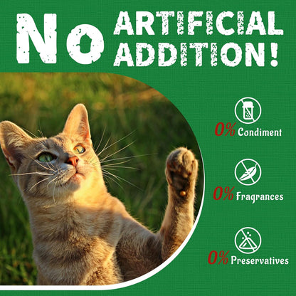 Just Try Cat Treats for Indoor Cats Hairball Control Natural Salmon Healthy Cat Grass Treats Kitten Snacks Training Biscuits Catnip for Cats Dental Care 13.4 OZ9