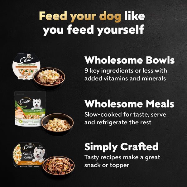Cesar Wholesome Bowls Wet Dog Food, Chicken Recipe, 3 Oz, 10 Count | Real Chicken #1 Ingredient, Slow-Cooked, 7 Key Ingredients, No By-Products or Artificial Flavors, Easy to Digest9