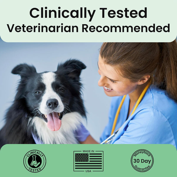 Extend Joint Support for Dogs Hip and Joint Supplement for Dogs Glucosamine Hip & Joint Support Arthritis Supplement, Support Healthy Joints, Mobility & Flexibility for All Dog Breeds - Made in USA5