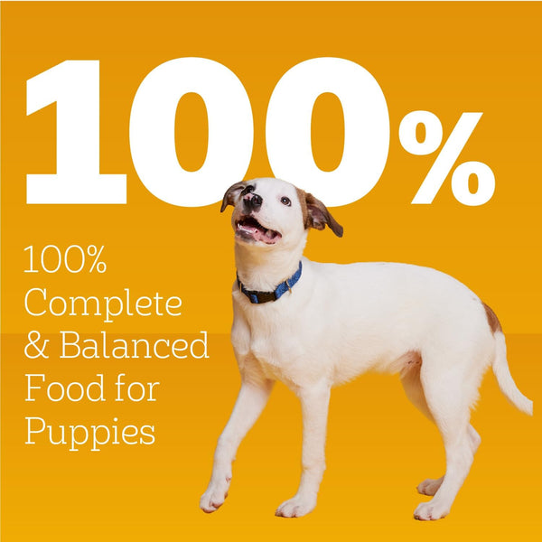 Pedigree Puppy Chopped Wet Dog Food, Chicken & Beef, 13.2 Oz, 12 Count | 100% Complete & Balanced for Puppies, DHA for Brain Development, Rich in Calcium for Teeth & Bones, Chicken & Beef5