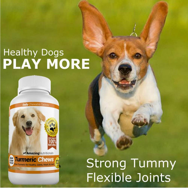Amazing Turmeric for Dogs Curcumin Pet Antioxidant, Eliminates Joint Pain Inflammation, 120 Chews4