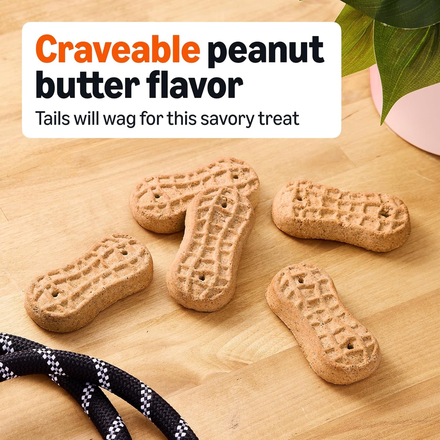 amazon-basics-crunchy-dog-biscuits-peanut-butter-flavor-dog-treats-5-lb-box