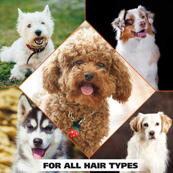 Wahl USA Odor Control Shampoo for Dogs & Pets - Eucalyptus & Spearmint Animal Deodorizer for Cleaning & Freshening – 24 Oz - Model 820003A8