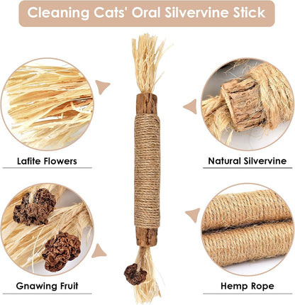 Bissap 10 PCS Silvervine Chew Sticks for Cats, Catnip Chew Sticks Cat Toys for Indoor Cat Kitten Teeth Grinding Interactive Feather Toys for Aggressive Chewers Dental Care3