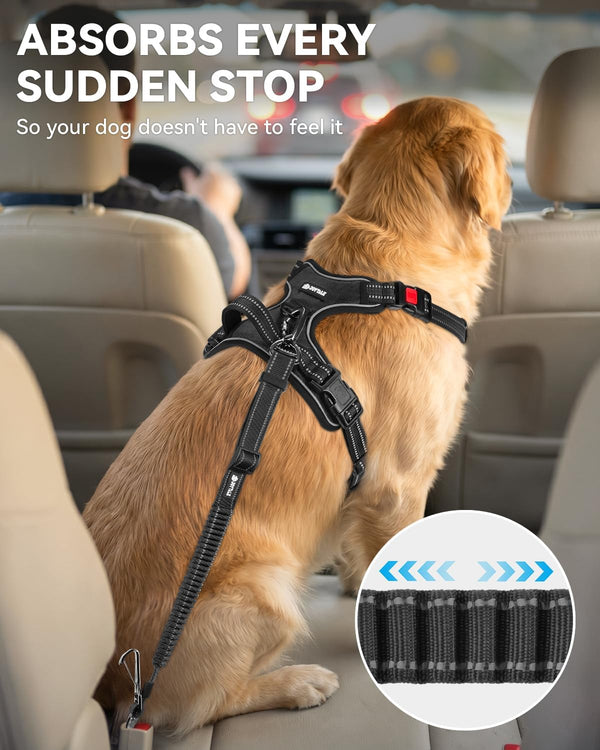 Joytale 3-In-1 Bungee Dog Seat Belt for Car, Medium and Large Dogs, Black | Seatbelt Buckle, LATCH, Cargo Hook, Shock-Absorbing, 360° Swivel Slide-To-Lock Zinc Buckle, for Distraction-Free Driving3