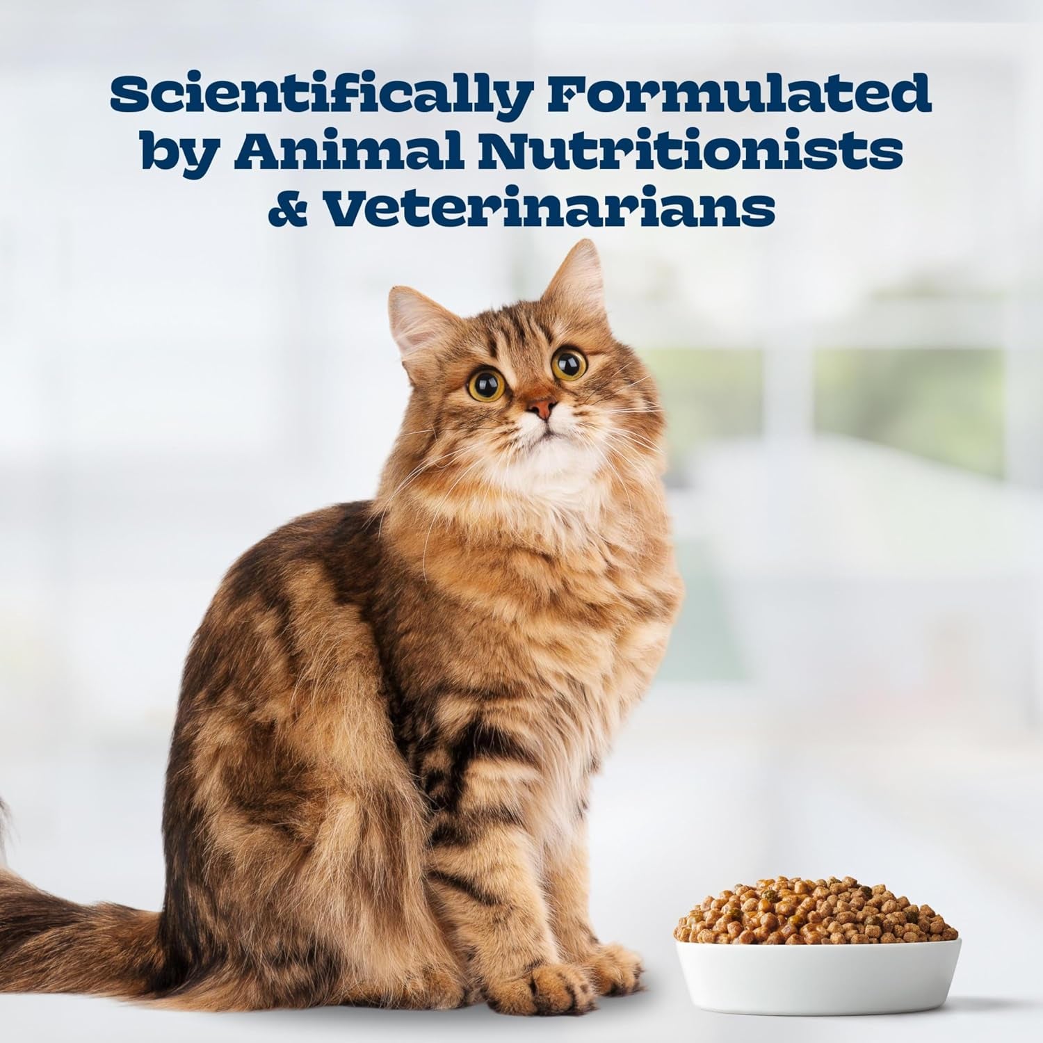 blue-buffalo-tastefuls-irresistible-gravy-experience-chicken-brown-rice-recipe-dry-indoor-cat-food-for-adult-cats-deliciously-healthy-natural-cat-food-supports-digestion-coat-health-3-lbs