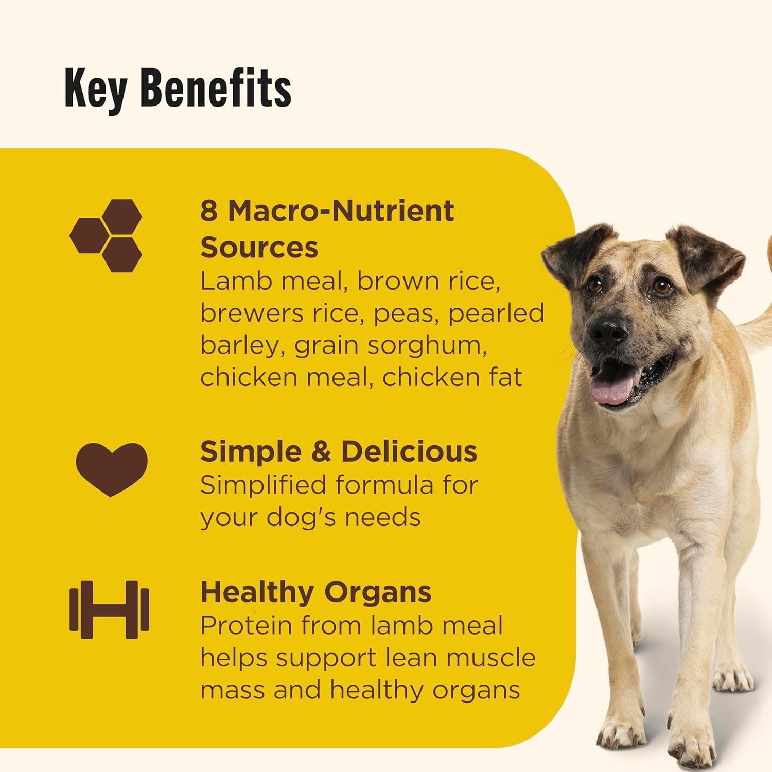 nutrish-limited-ingredient-dry-dog-food-28-lb-bag-rachael-ray