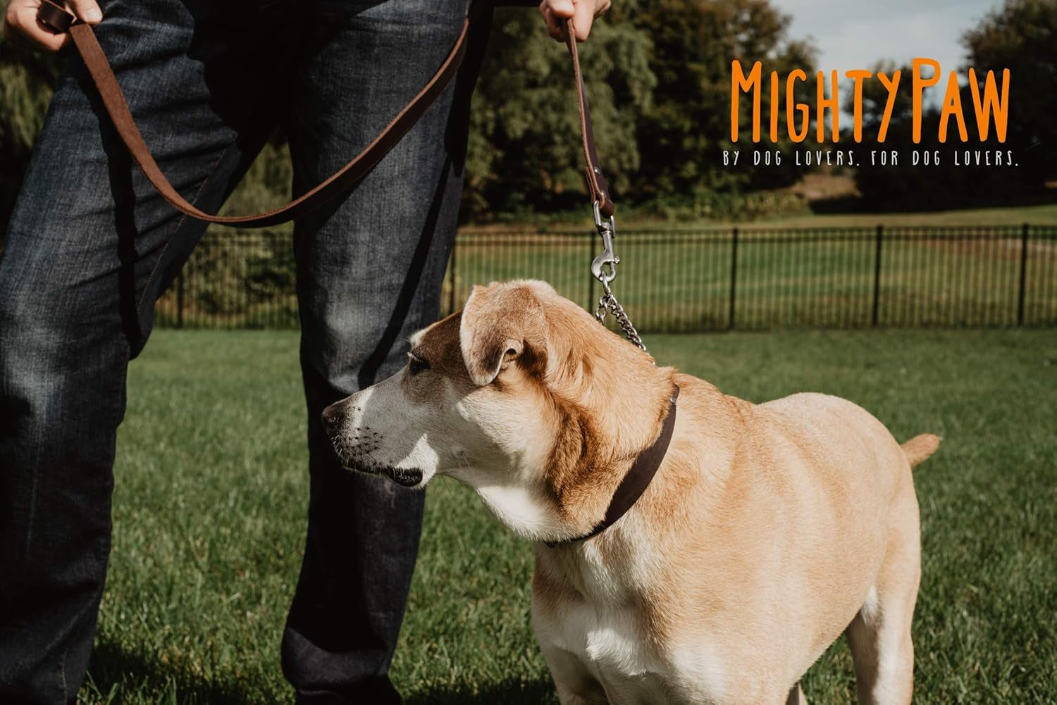 mighty-paw-martingale-dog-collar-no-pull-design-stainless-steel-chain-limited-chain-cinch-training-brown-leather-martingale-training-collar-medium-size