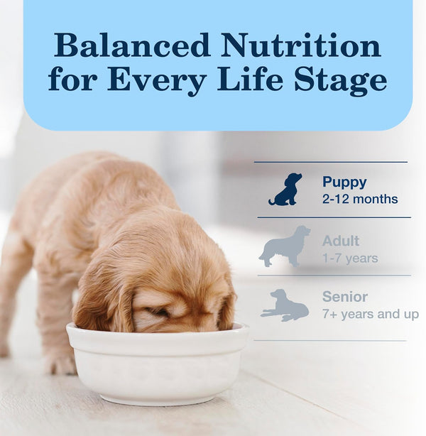 Blue Buffalo Homestyle Recipe Chicken Puppy Wet Dog Food, 12.5 Oz, 12 Ct | Chicken Dinner with Garden Vegetables & Brown Rice, No Chicken By-Product, Corn, Wheat, or Soy8