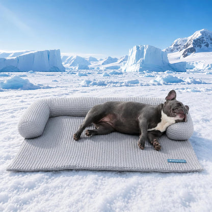 Spark Paws Cooling Couch Cover Dog Bed, Furniture Protector Mat, Non-Toxic Washable Pet Cooling Pad for Large & Small Dog - Hearts Blue - Size M20